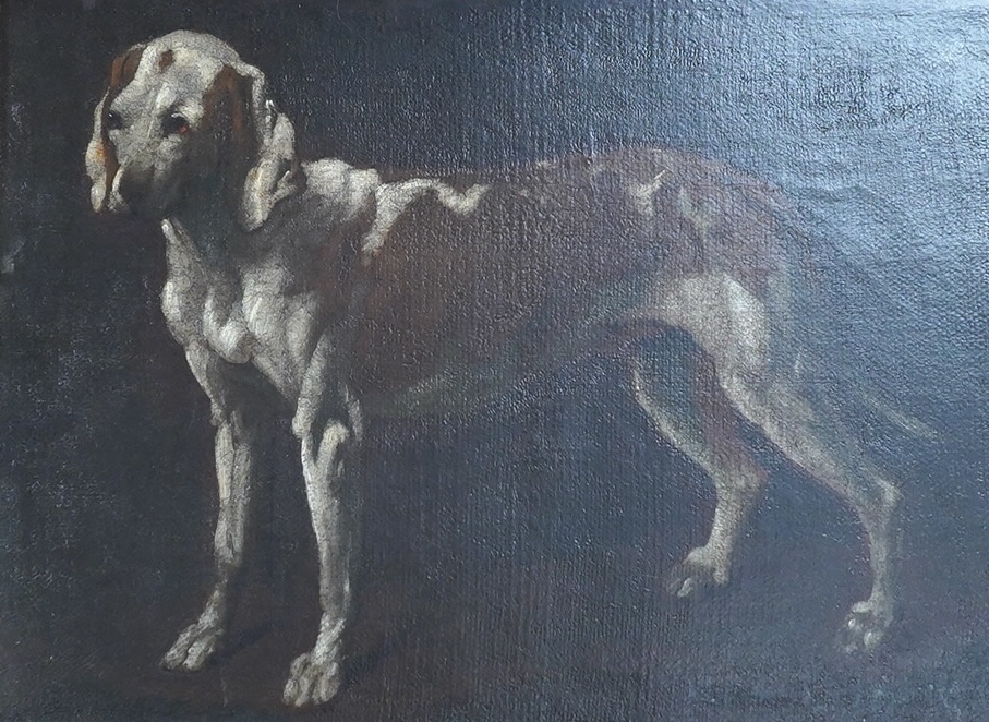In the manner of George Stubbs ARA (1724-1806), oil on canvas, Study of a hound, signed, 26 x 35cm. Condition - fair to good